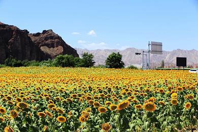 《卧龙：苍天陨落》捏人系统受盛赞 胸部拉到最大也不违和