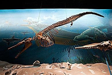 动作对战游戏《时光迷失》现已在Steam平台推出试玩Demo