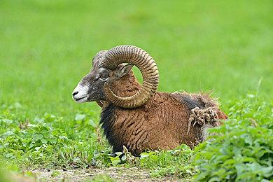 经典跑酷游戏《像素跑者2》本月登陆Switch